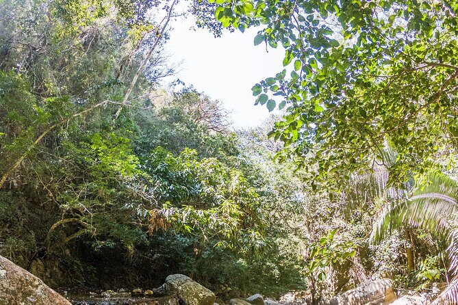 Hiking Adventure: River Trails & Waterfall Wonders - The Realities: Pros and Cons