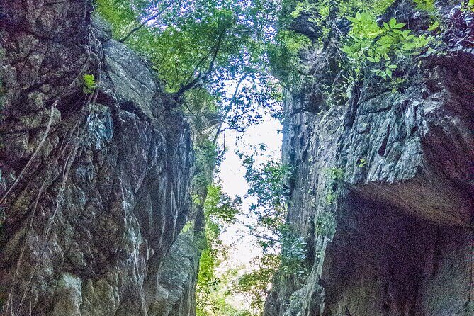 Hiking Adventure: River Trails & Waterfall Wonders - FAQs