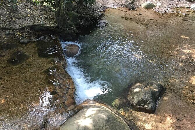 Hiking Adventure: River Trails & Waterfall Wonders - Final Thoughts