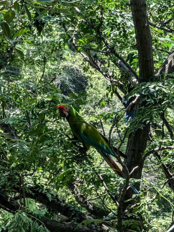 Hiking Adventure to a Secret Swimming Spot - What’s Included and What’s Not?