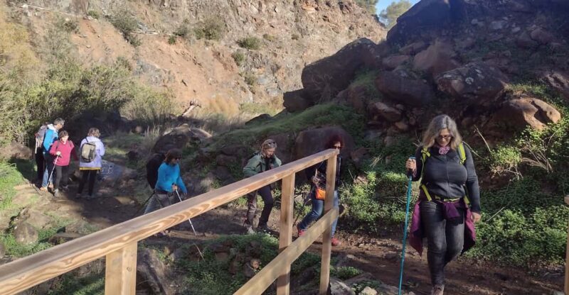 Hiking and bathing in natural pools in the National Park - Exploring Sierra de las Nieves: What to Expect