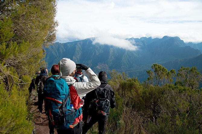 Hiking and Trekking tours in Madeira - An Overview of What to Expect
