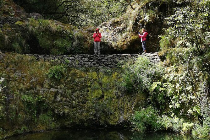 Hiking and Trekking tours in Madeira - Is It Worth the Price?
