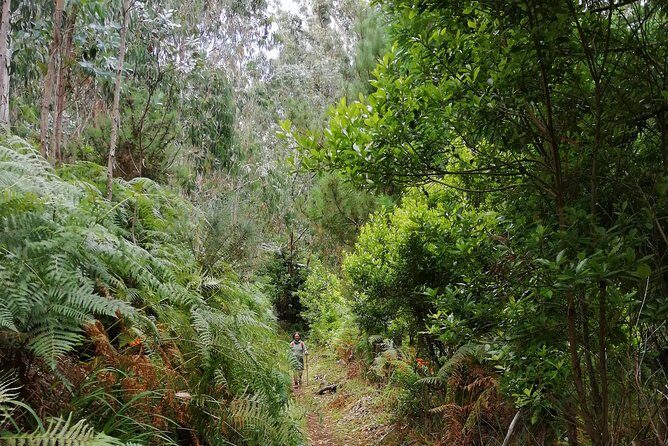 Hiking and Trekking tours in Madeira - The Experience Itself – Day in the Life