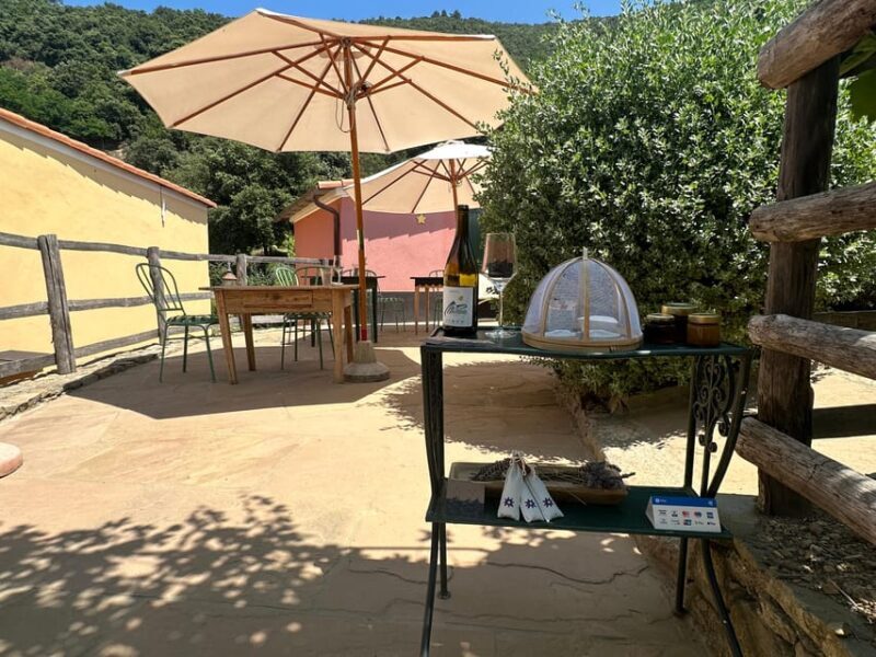 Hiking and wine tasting experience - The Real Value for Travelers