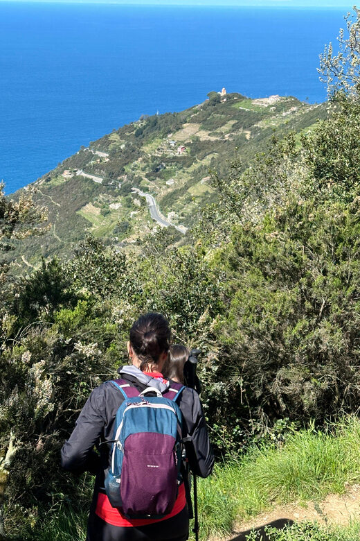 Hiking and wine tasting experience - Who Will Love This Tour?