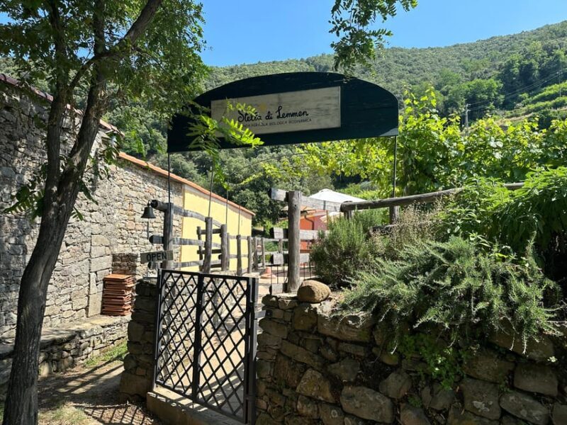 Hiking and wine tasting experience - Frequently Asked Questions