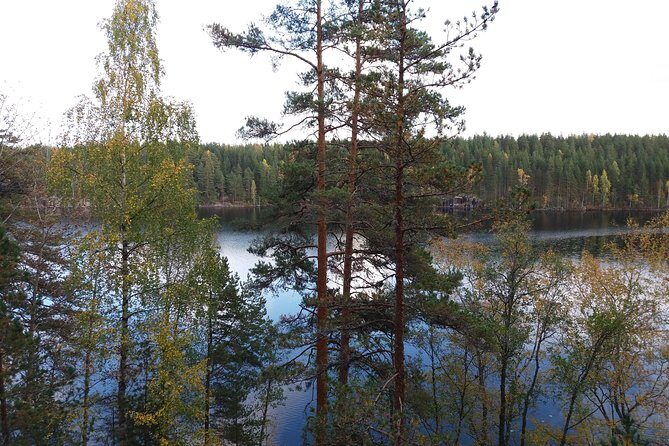 Hiking around forest and lake - Who Will Love This Tour?