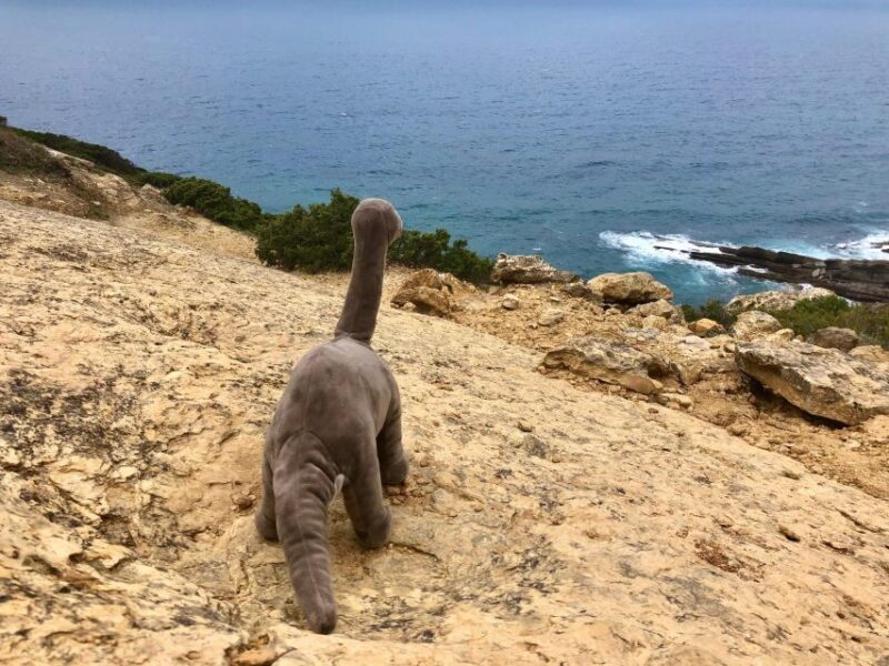 HIKING around Lisbon: Jurassic Dinosaur Trails of Espichel - Authentic Insights from Reviewers