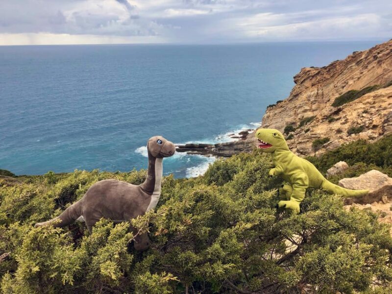 HIKING around Lisbon: Jurassic Dinosaur Trails of Espichel - FAQ