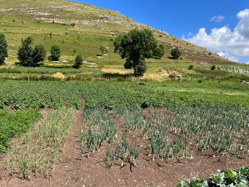 Hiking around Sarajevo: Lukomir Village Full Day Hiking Tour - Is It Worth It?