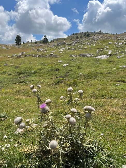 Hiking around Sarajevo: Lukomir Village Full Day Hiking Tour - Final Thoughts