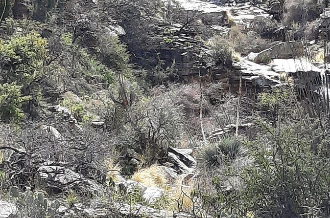 Hiking at Starr Pass and Tucson Mountains - FAQs about Hiking at Starr Pass and Tucson Mountains