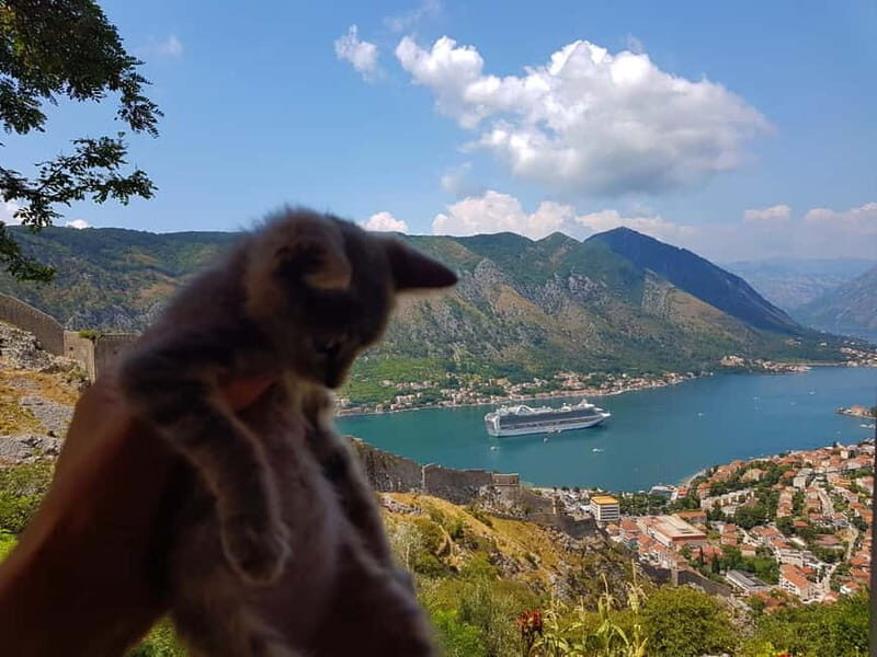 Hiking downhill Krstac to Kotor, visit San Giovanni fortress - Final Thoughts