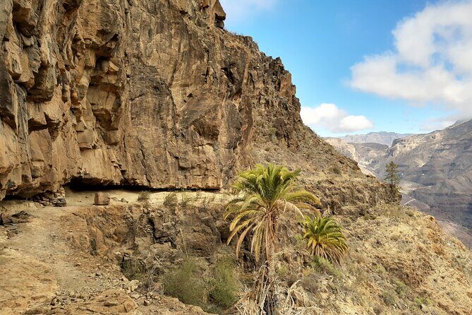 Hiking experience in the north of Gran Canaria - Exploring Gran Canaria’s North on Foot: A Deep Dive