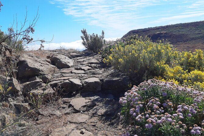 Hiking experience in the north of Gran Canaria - FAQ