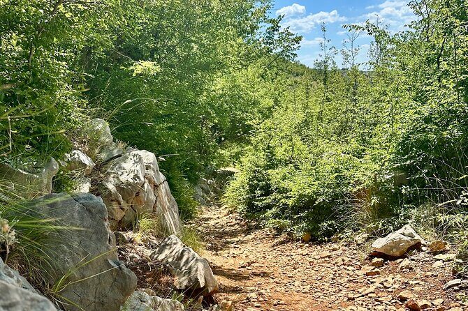 Hiking experience on the Krupa River : incl. transfer & lunch - What to Expect on the Day of the Tour