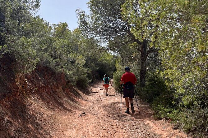 Hiking guide tours in Ibiza - Explore stunning views with us! IHL - The Experience in Detail: What the Day Looks Like