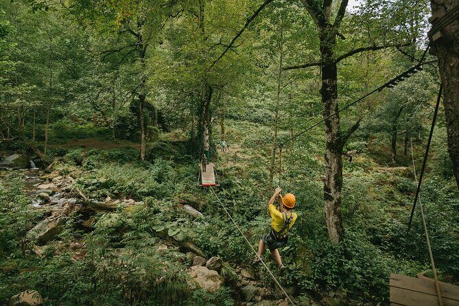 Hiking in Batumi ( Mtirala National Park) - What to Expect from the Itinerary