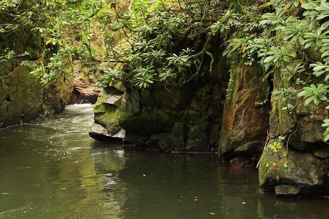 Hiking in Batumi ( Mtirala National Park) - Who Would Love This Tour?