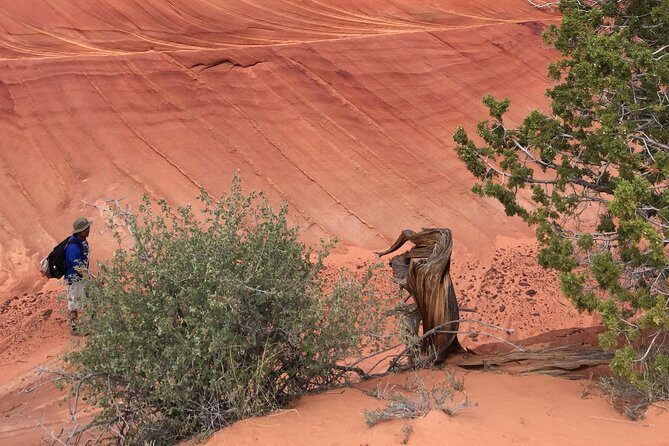 Hiking in Kanab: Famous Teepees of Vermilion Cliffs National Monument near Wave - Final Thoughts