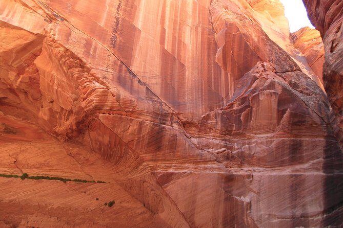 Hiking in Kanab: Walk and Photograph the incredible Wire Pass Slot Canyon! - Frequently Asked Questions