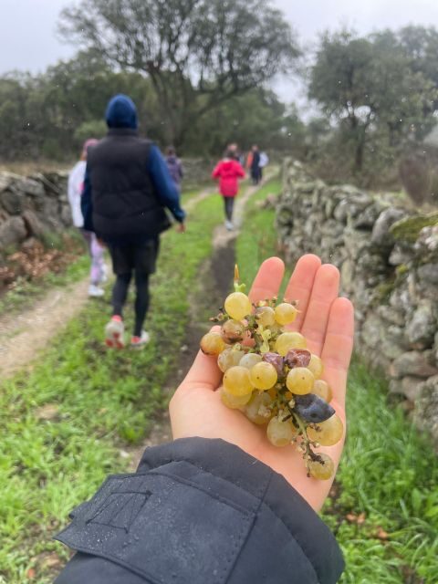 Hiking in Nature: Guided paths passing through Marvão - Who This Tour Is Best For