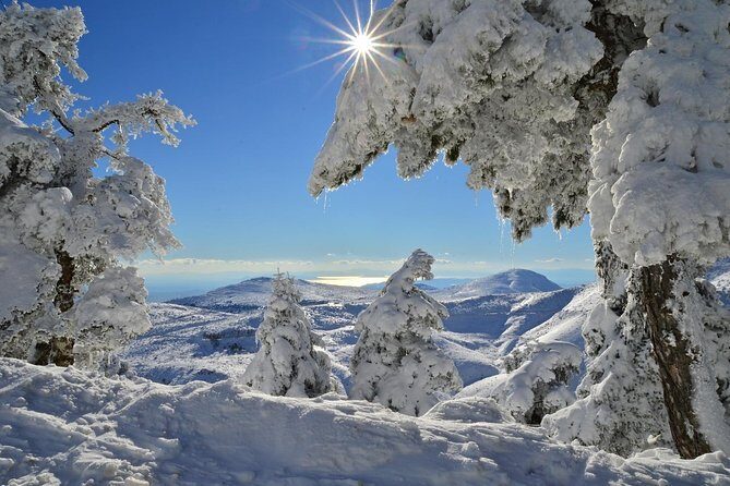 Hiking in Parnitha National Park from Athens - An In-Depth Look at the Parnitha National Park Hike