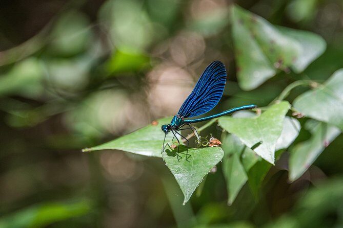 Hiking in Polilimnio Waterfalls - Final Thoughts