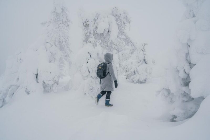 Hiking in Riisitunturi National Park with Photographer - What to Expect from the Tour