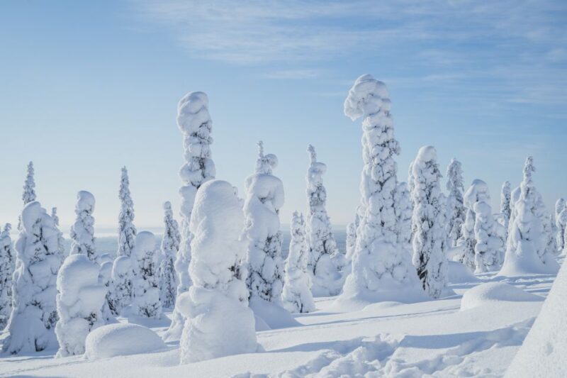 Hiking in Riisitunturi National Park with Photographer - The Experience from Travelers’ Perspective