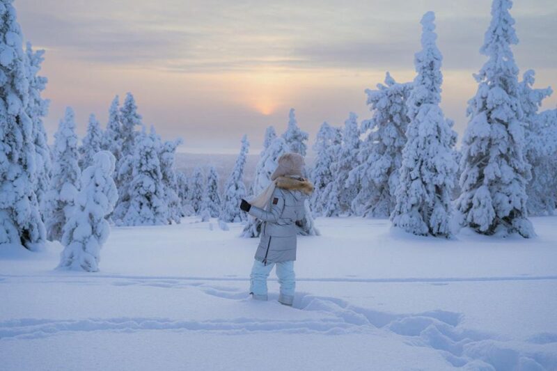 Hiking in Riisitunturi National Park with Photographer - The Downsides