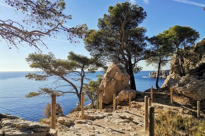 Hiking in the Calanques National Park from Marseille - What to Expect on the Tour
