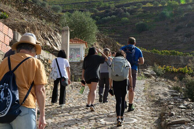 HIKING in the Douro Valley - Authentic Experiences and Highlights