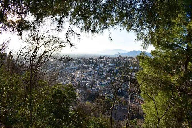 Hiking in the natural park on the outskirts of the Alhambra - Exploring the Details of the Tour