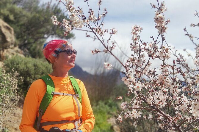 Hiking in the Sacred Mountains of Gran Canaria: UNESCO - Who Would Love This Tour?