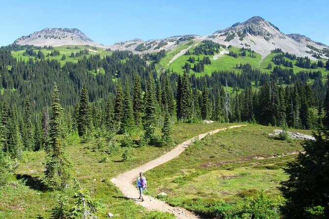 Hiking in the Stunning Garibaldi Park - Discovering Garibaldi Park: What’s It Really Like?