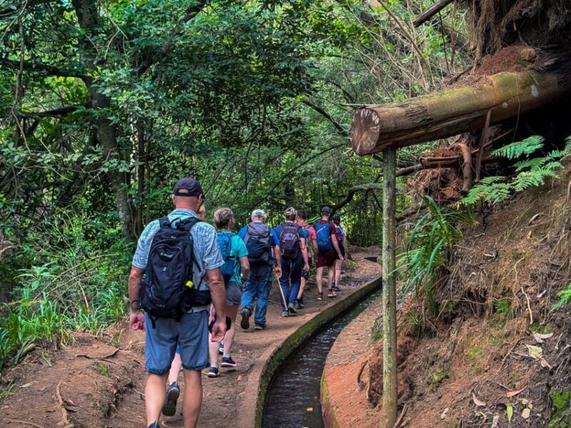 Hiking Madeira: Levada do Rei and the Majestic Laurissilva - Final Thoughts