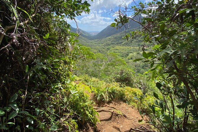 Hiking Maui Hawaii - Discovering Maui with a Local Touch: A Review of the Hiking Maui Hawaii Tour