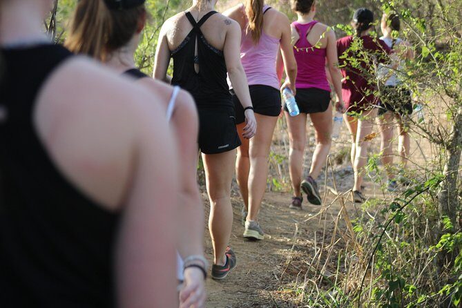 Hiking Monkey Mountain - Hiking Monkey Mountain — A Complete Look at This Sayulita Adventure