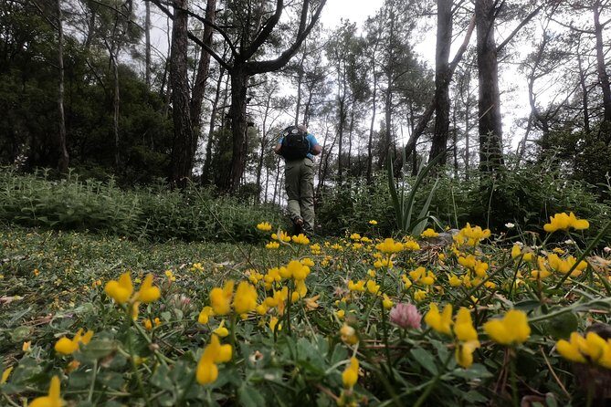 Hiking Mountain Akramitis Rhodes - pick up service available - Exploring the Hiking Mountain Akramitis Rhodes Experience