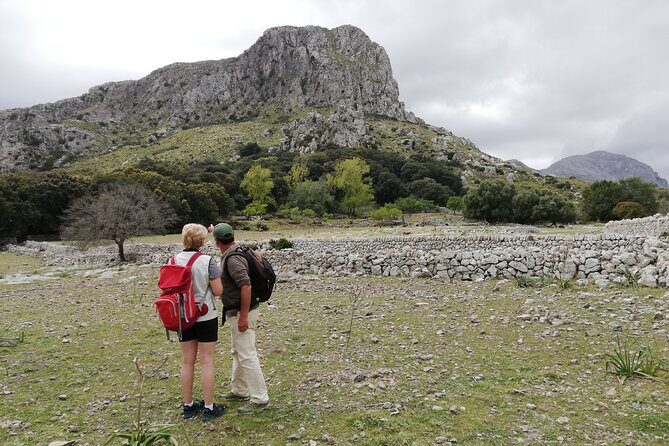 Hiking Private Tour in Pollensa - An In-Depth Look at the Hiking Tour