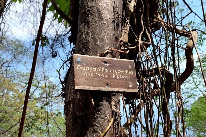 Hiking & Snorkeling to Mexico's Smallest Paradise Colomitos Beach - FAQ