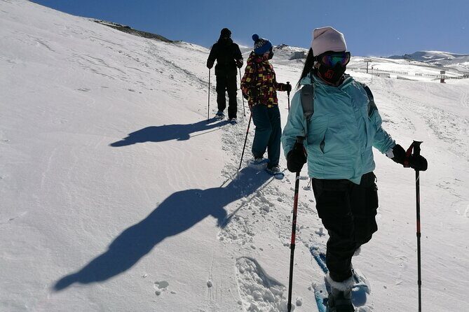 Hiking Snowshoeing in the Sierra Nevada Park, Granada - A Closer Look at What to Expect