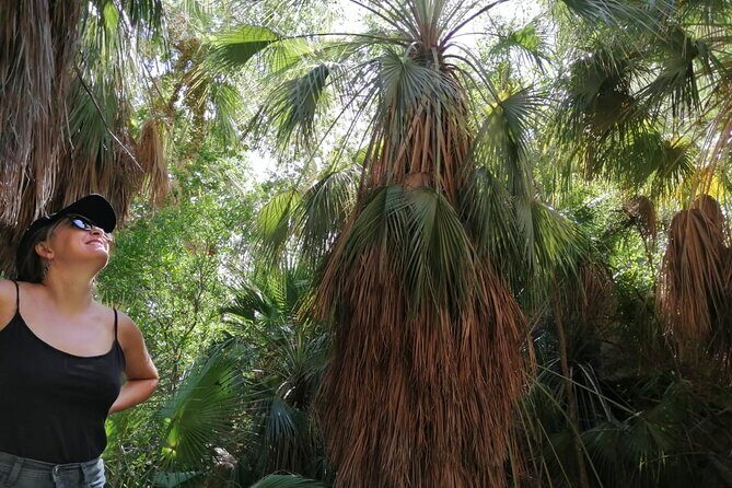 Hiking to Desert Palm Oases of San Carlos with a Biologist - A Closer Look at the Experience