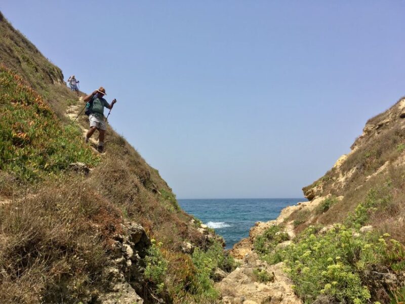 Hiking Tour Along the West Coastline - Is It Worth It?