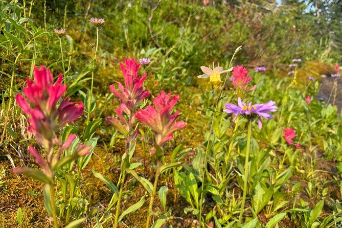 Hiking Tour: Hidden Gems | West Yellowstone | PRIVATE + Lunch - Final Thoughts