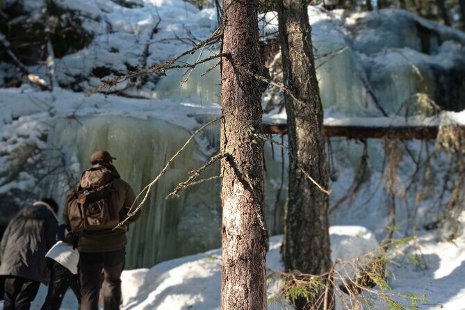 Hiking tour in Nuuksio National Park with meal and snacks - Who Will Love This Tour?