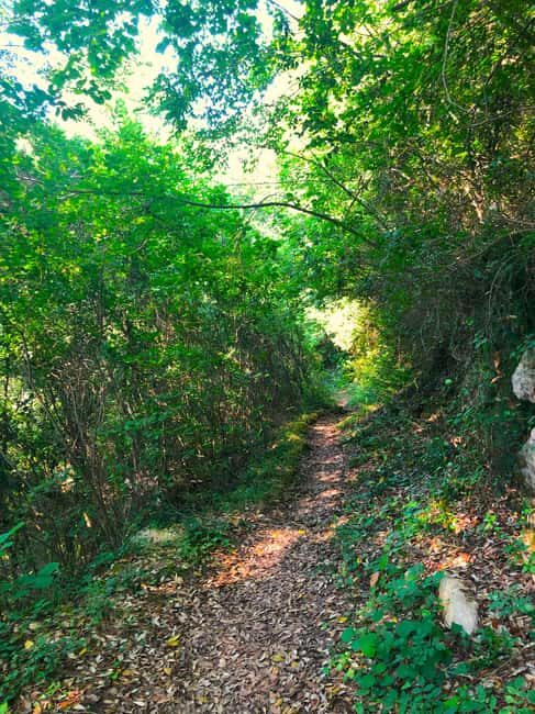 Hiking tour in Souli plateau, Kougi and Skala Tzavelena - Practicalities & What to Expect