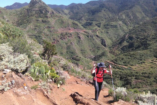 Hiking tour in the Anaga biosphere reserve in Tenerife - An In-Depth Look at the Anaga Biosphere Hiking Tour